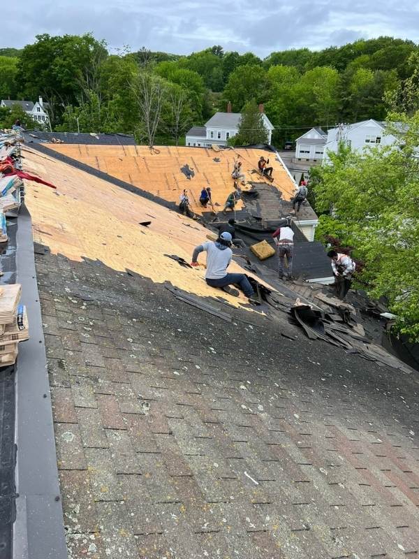 newcastle roof photo 4