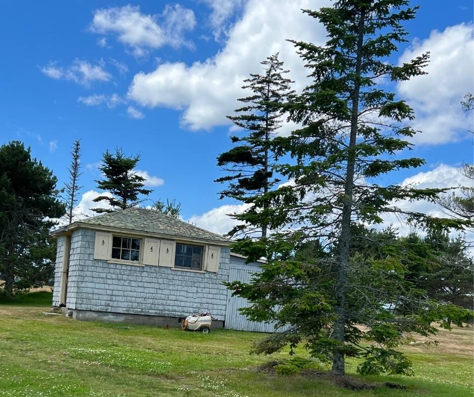 A small brick building is surrounded by trees on a sunny day