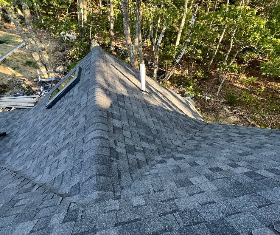 A roof with a skylight on top of it and trees in the background.