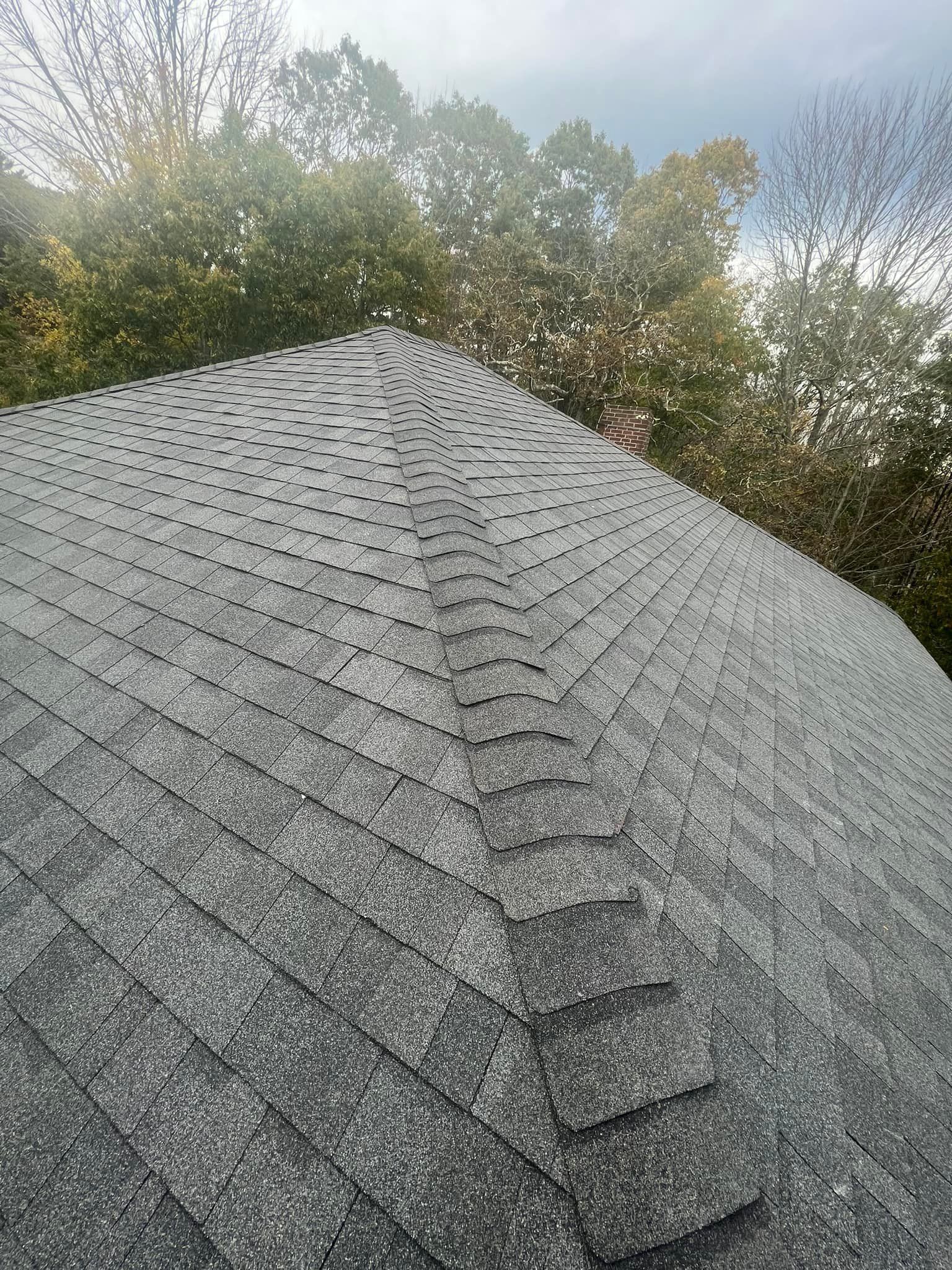 A close up of a roof with trees in the background.