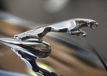 A close up of a jaguar hood ornament on a car.