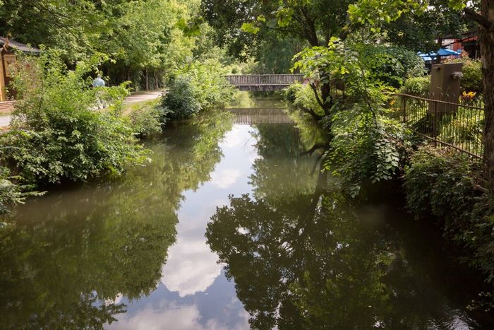 Tree-lined canal with calm water reflecting clouds and a small bridge in the background