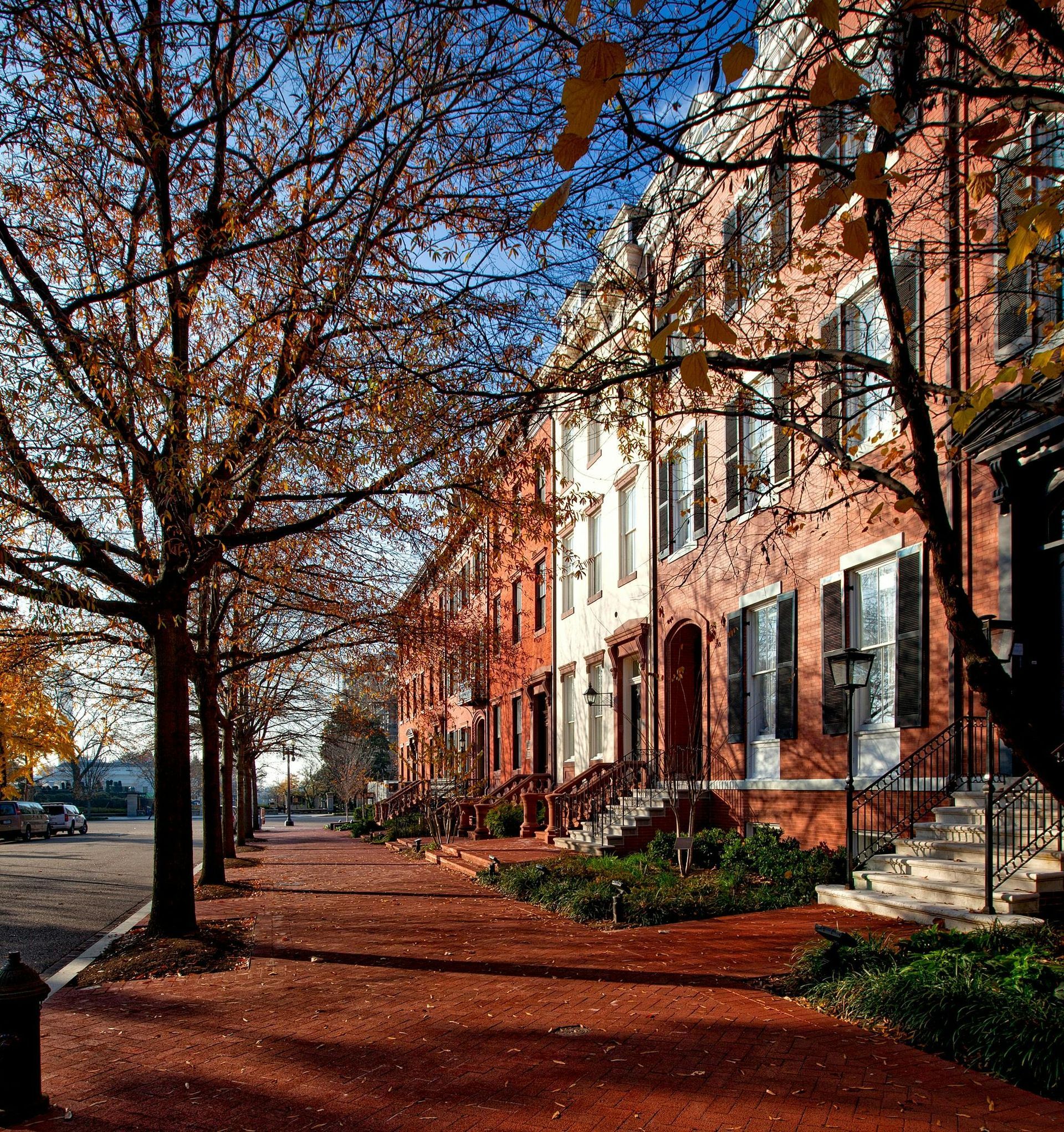 Tree-lined urban street beside brick rowhouses in autumn, with fallen leaves on the sidewalk and parked cars.