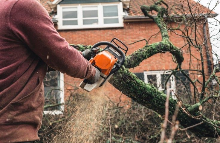 Person using a chainsaw to cut a tree branch; house in background.