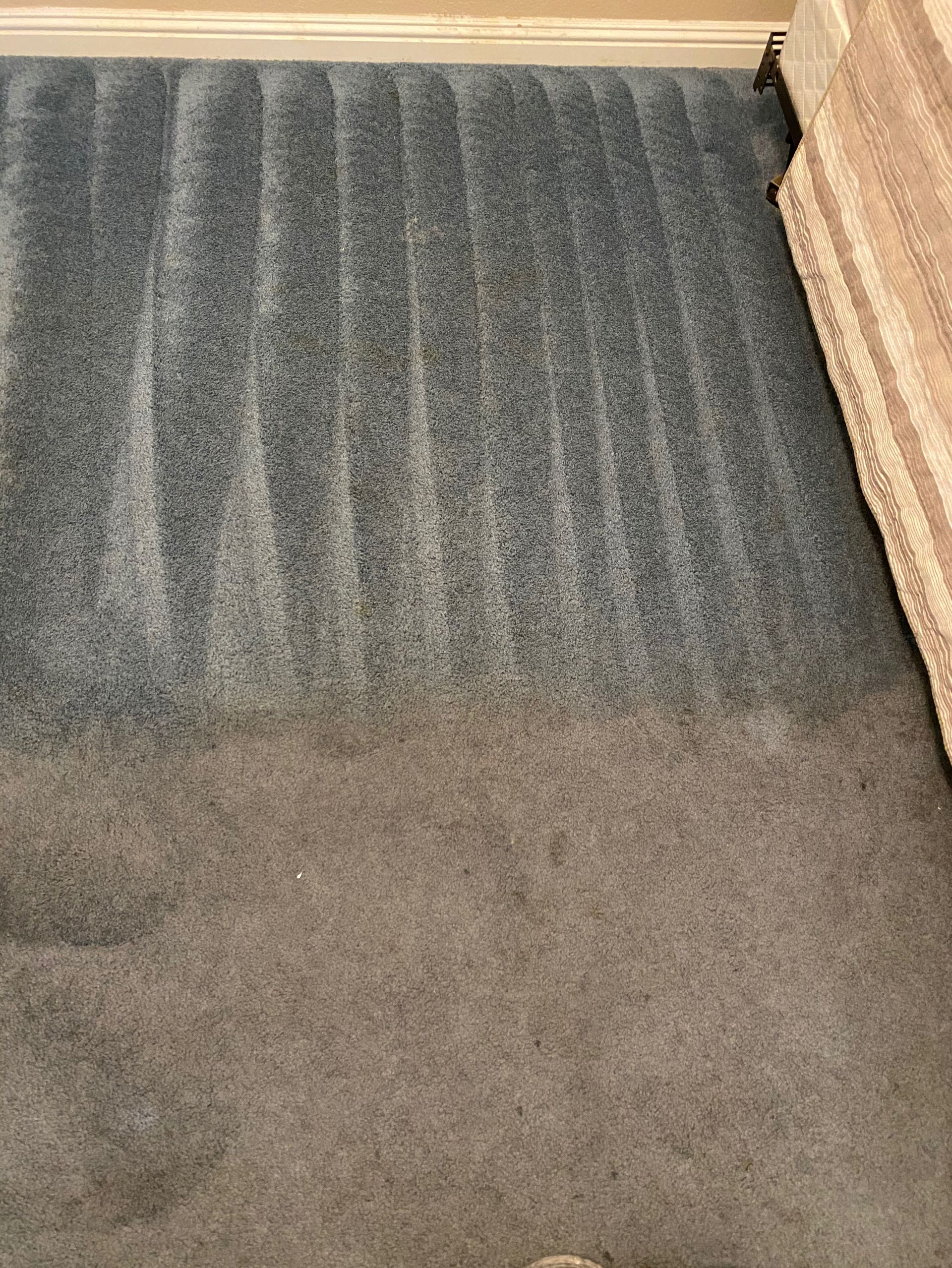 A carpet is being cleaned in a living room next to a couch.