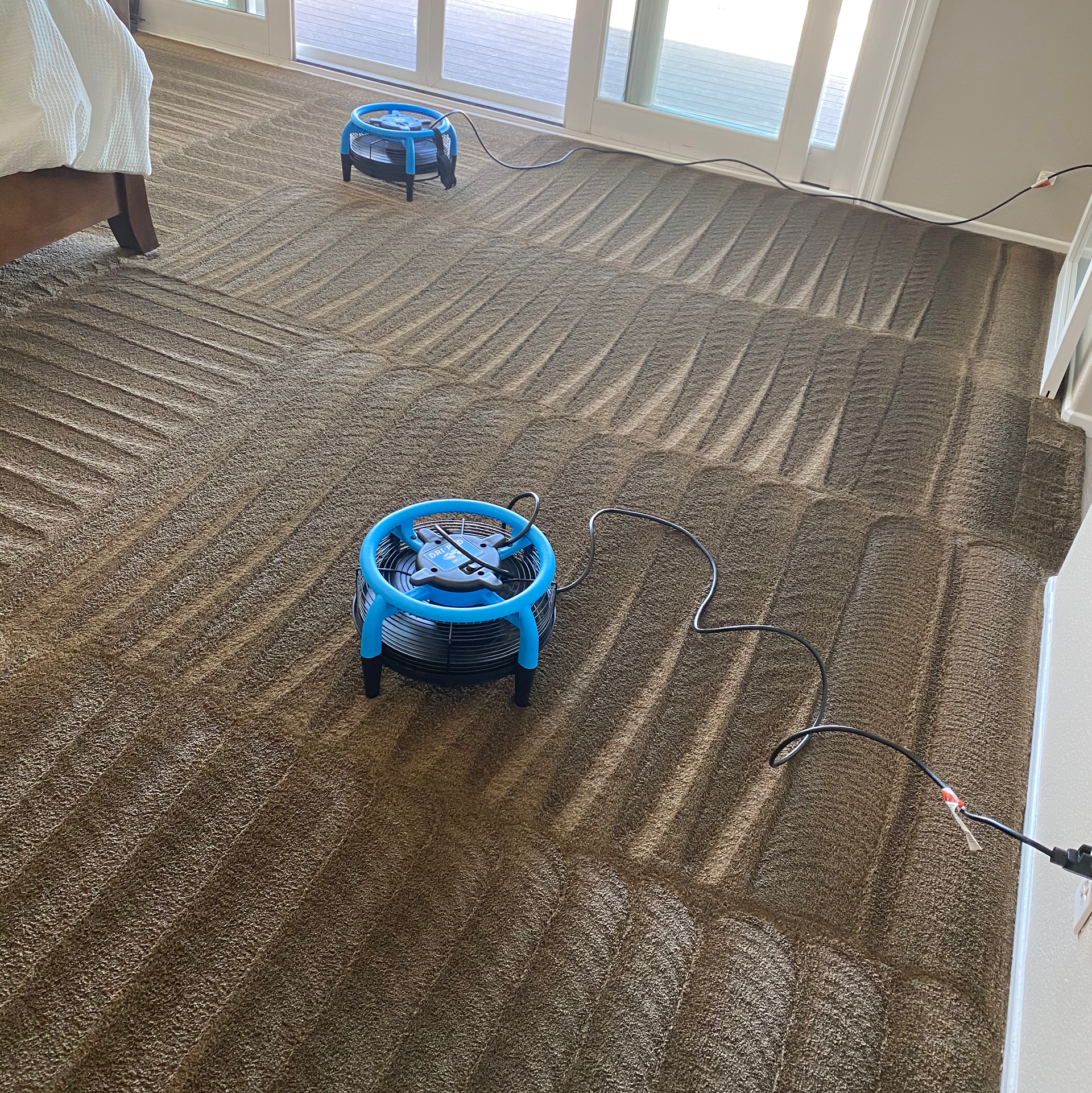 A blue toy is sitting on top of a carpeted floor.