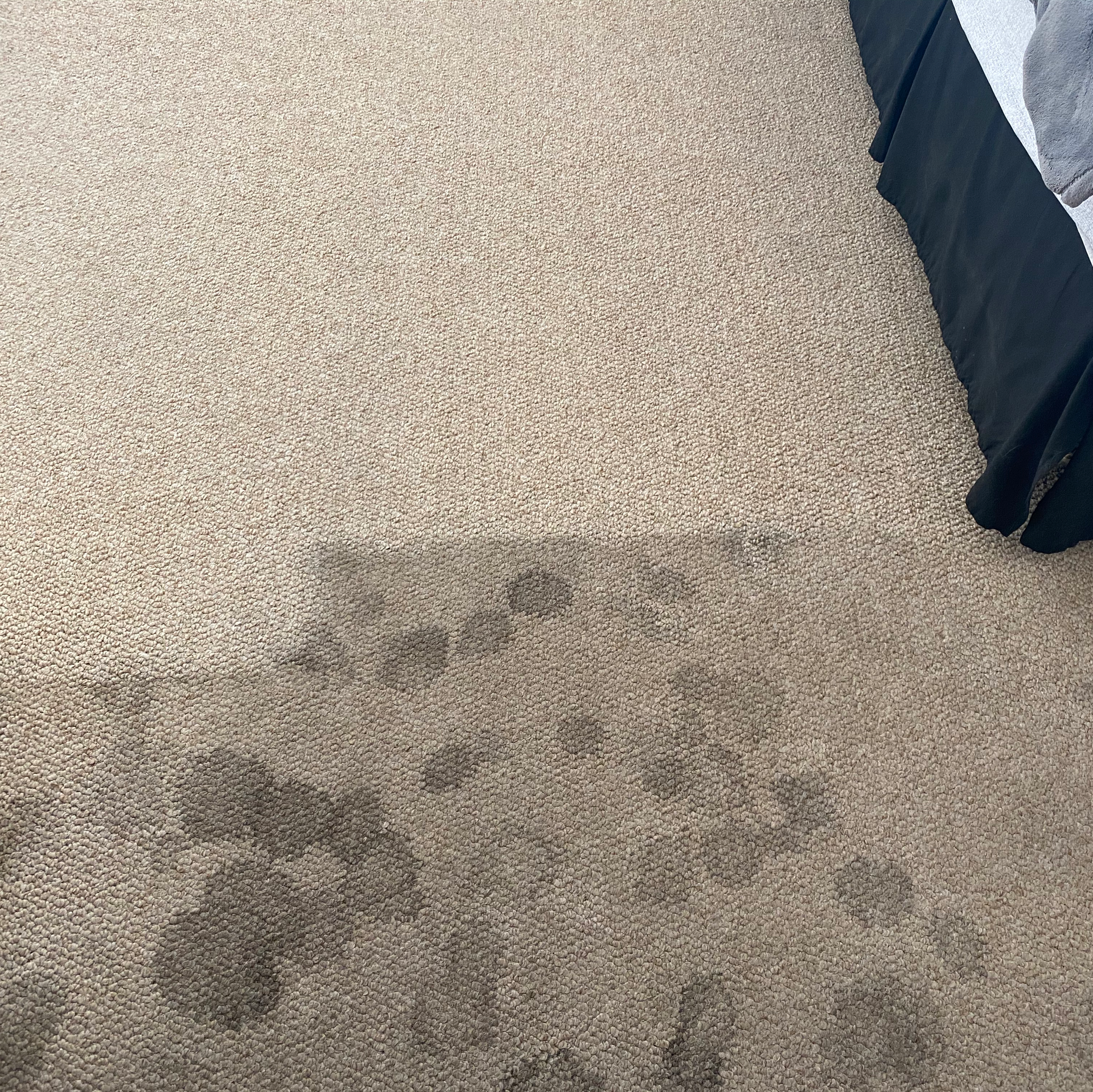 A bedroom with a bed and a carpet with stains on it.