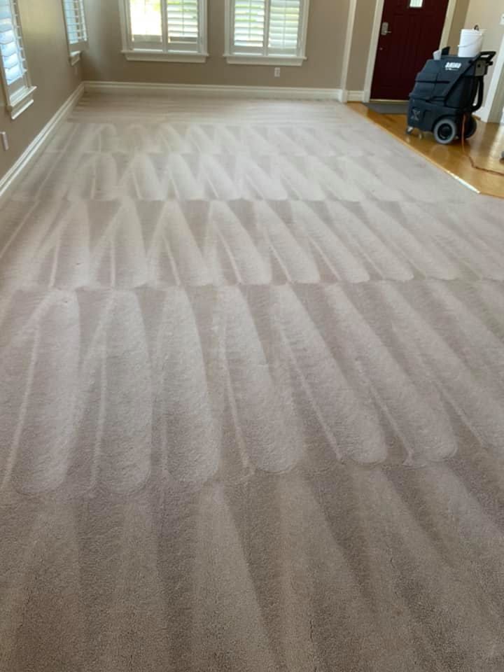 Carpet Cleaning Service Santa Clarita, California Kings Carpet Cleaning