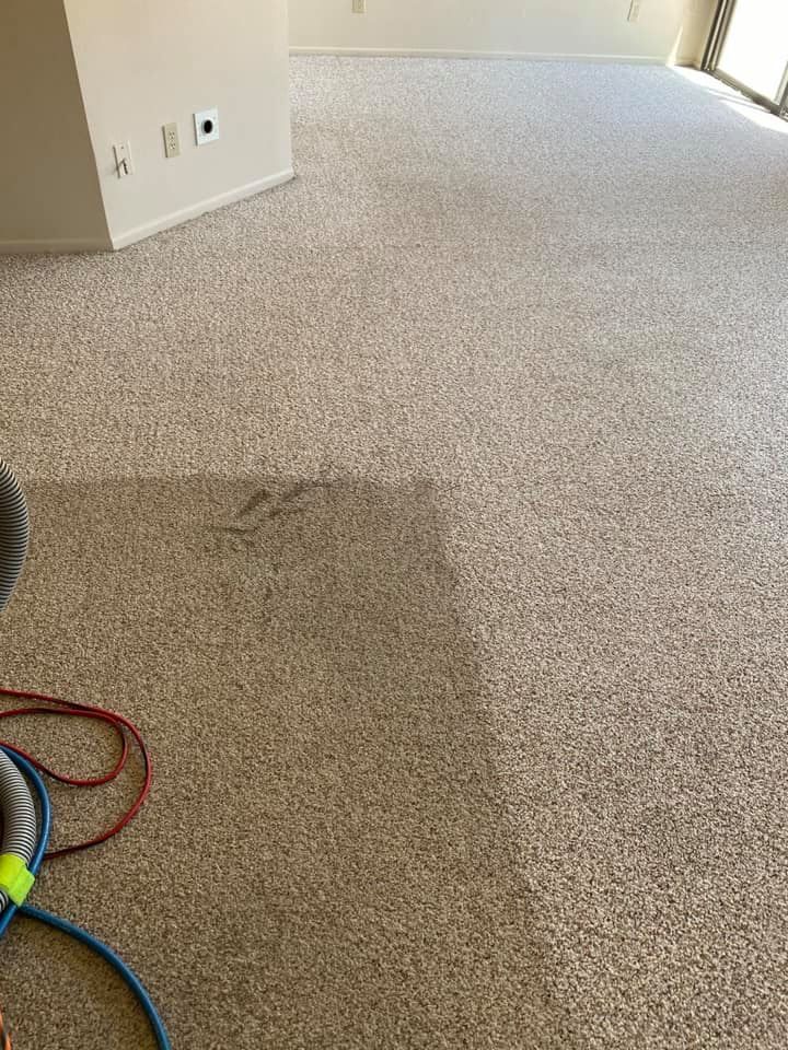 A carpet is being cleaned in a living room.