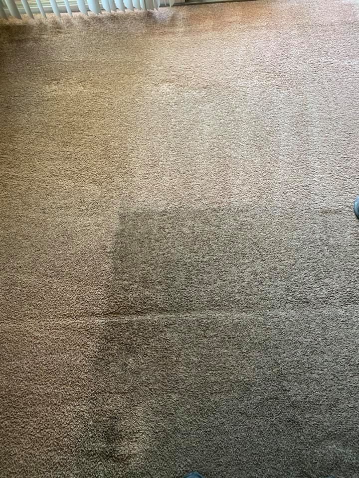 A dirty carpet in a living room with a shadow of a person on it.