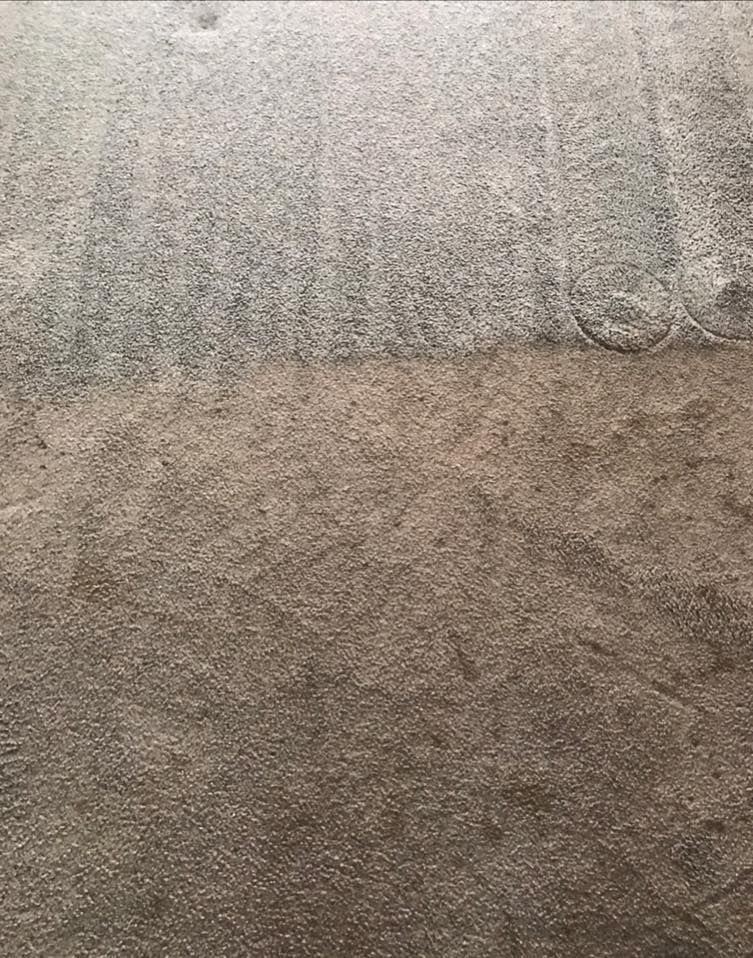 A close up of a carpet with a lot of hair on it.