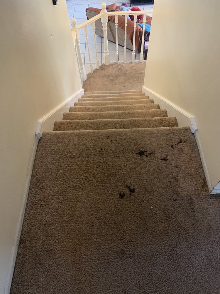 A staircase with a dirty carpet and a white railing leading up to a living room.