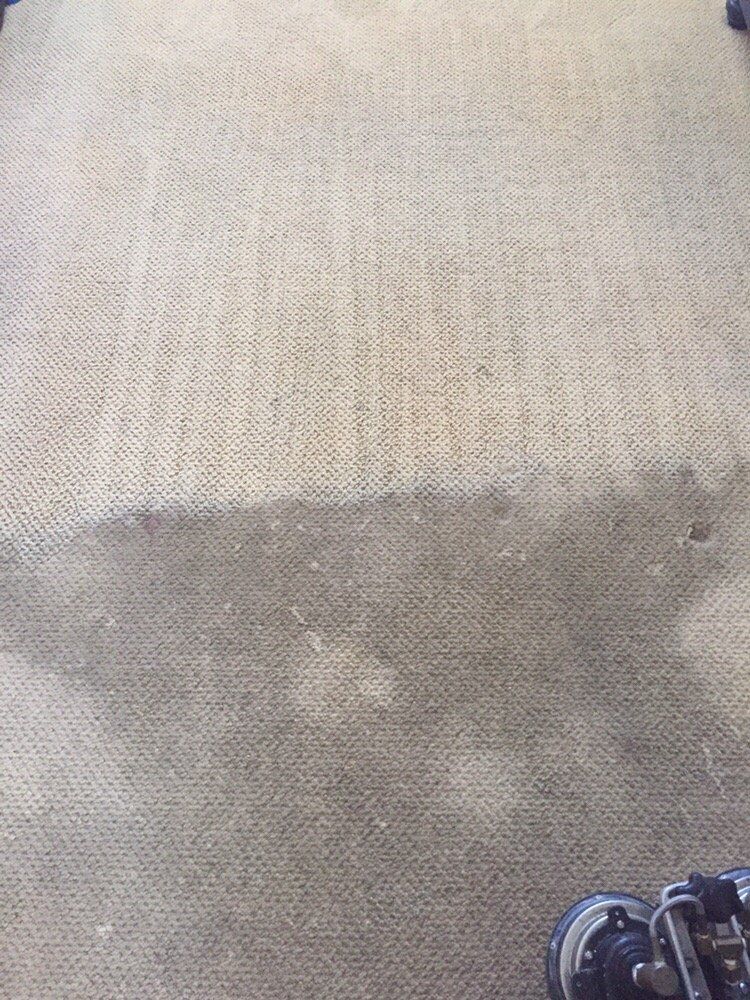 A person is standing on a dirty carpet in a room.