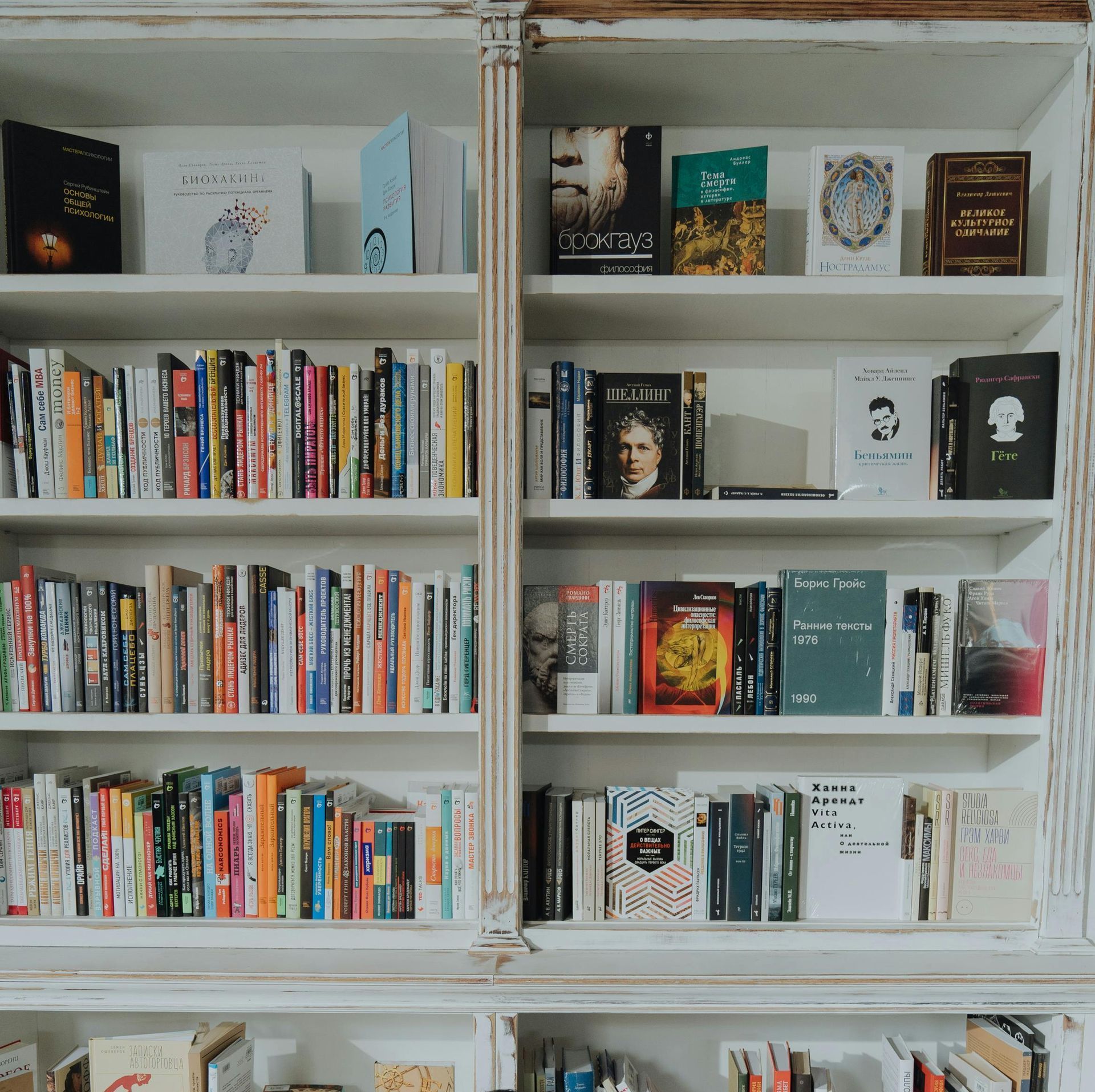 White bookshelf filled with books of various sizes and colors.