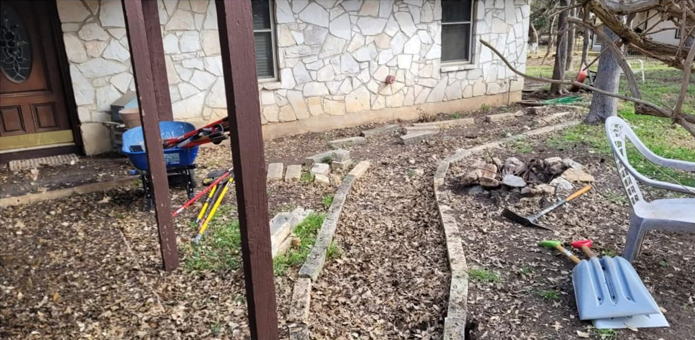 Overgrown backyard with stacked wooden pallets and a blue bin near a concrete path