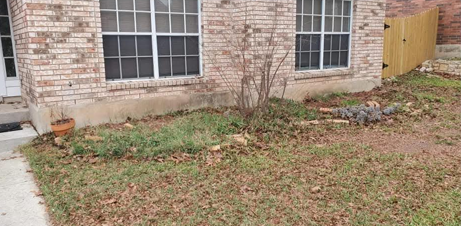 Front yard with a large green shrub, tan house exterior, and window with shutters