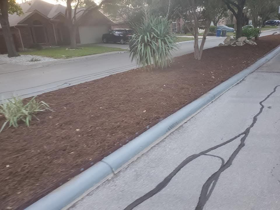 Suburban street with a dry mulched landscape strip, trees, and a cracked sidewalk curbside.