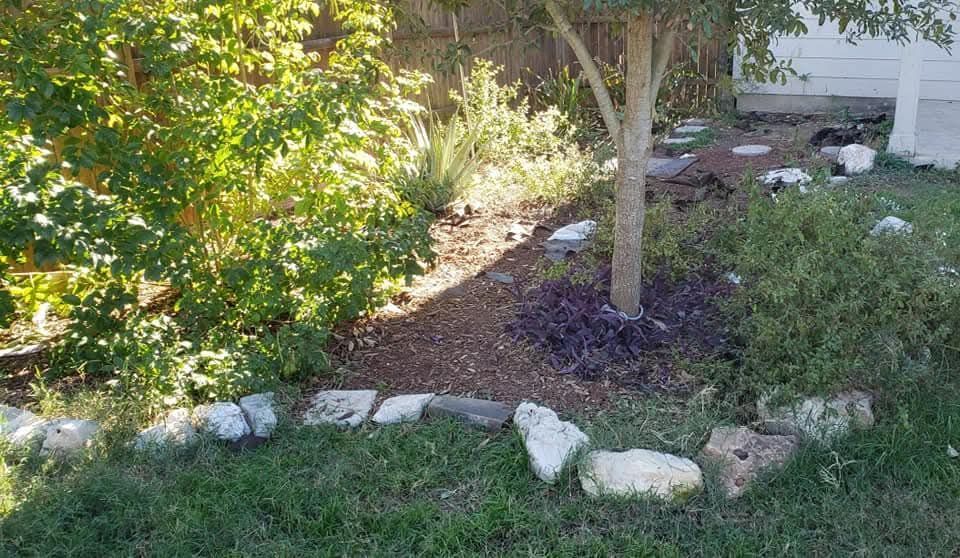 Rock garden with a small tree, green shrubs, and white stones edging a grassy yard.