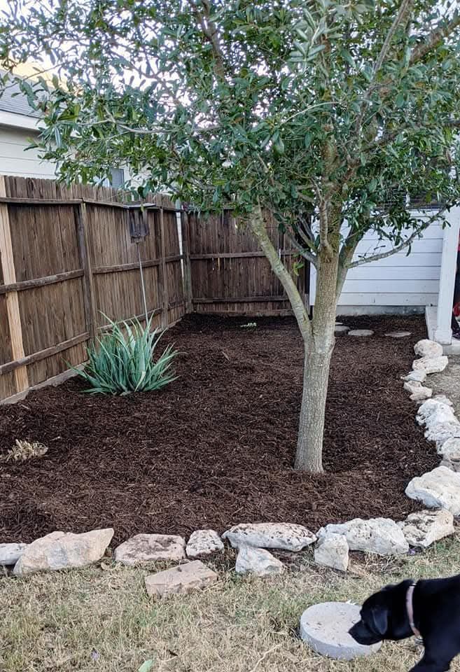 Small landscaped backyard with a tree, wooden fence, rocks, and mulch; part of a black dog at bottom right