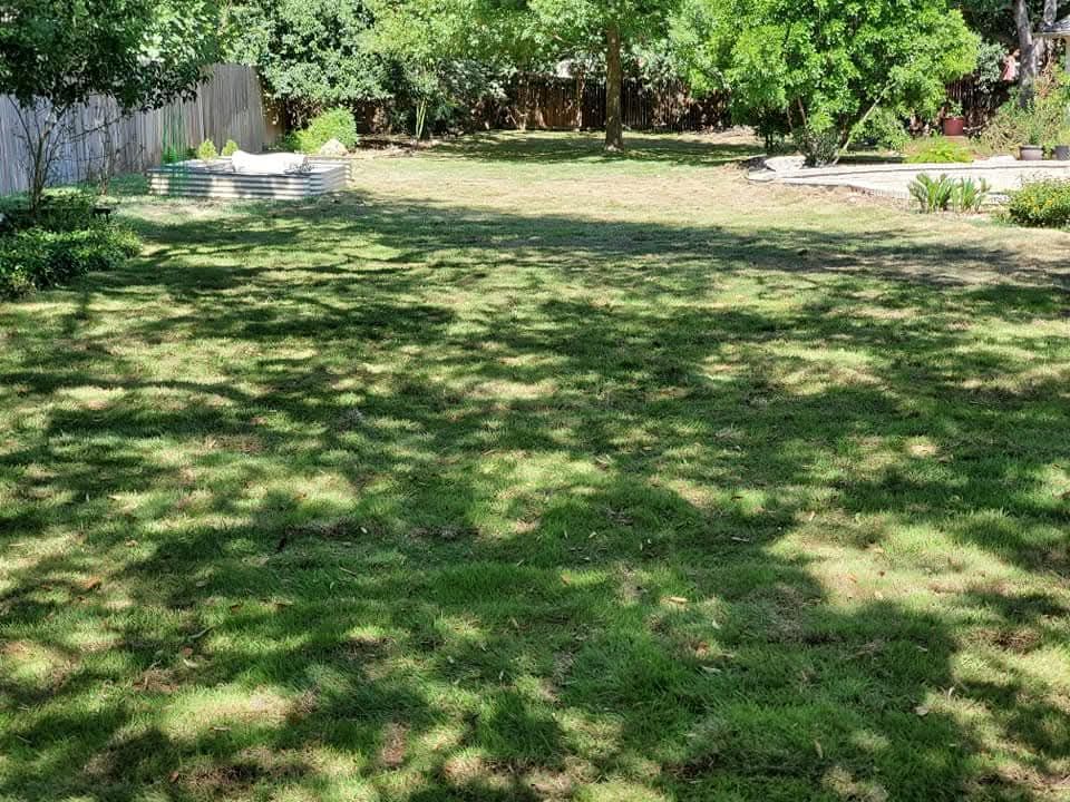 Shaded grassy yard with trees and a low stone border along the left side