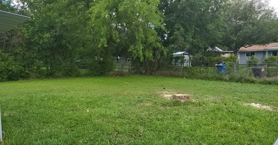Grassy backyard with trees, a small bare patch, and houses in the background