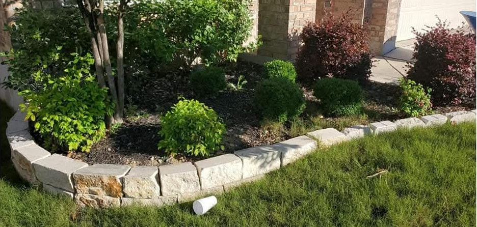 Overgrown backyard with weeds, a tree, fence, concrete patio, and green trash bin