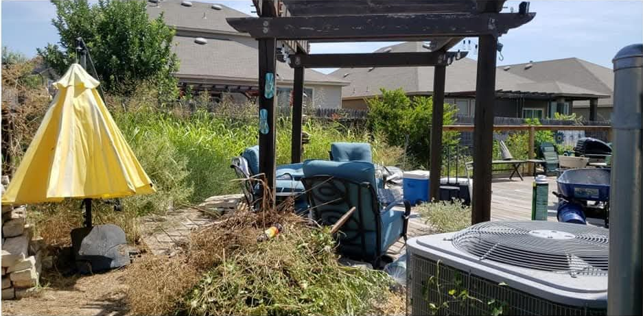 Overgrown backyard with weeds, a tree, fence, concrete patio, and green trash bin