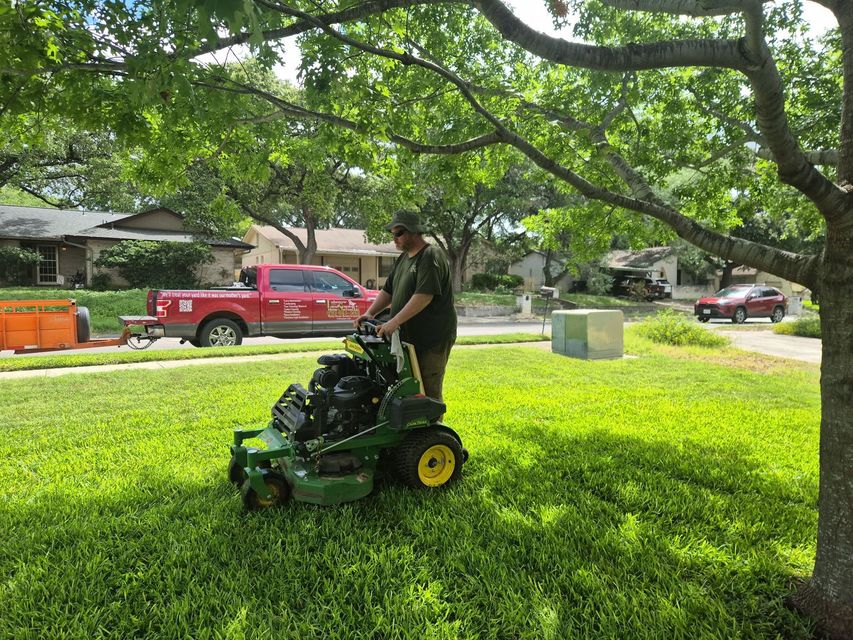 Grassy backyard with trees and a small dirt patch near a house and blue bin in the background