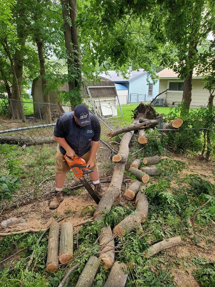 Worker using a chainsaw to cut a fallen tree in a leafy yard, with logs stacked nearby.