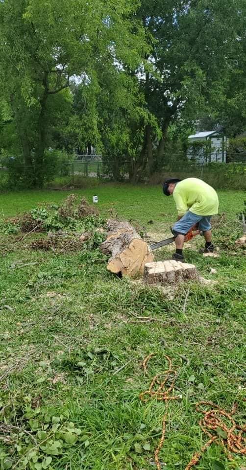 Person in a bright green shirt chopping wood outdoors in a grassy yard near trees.