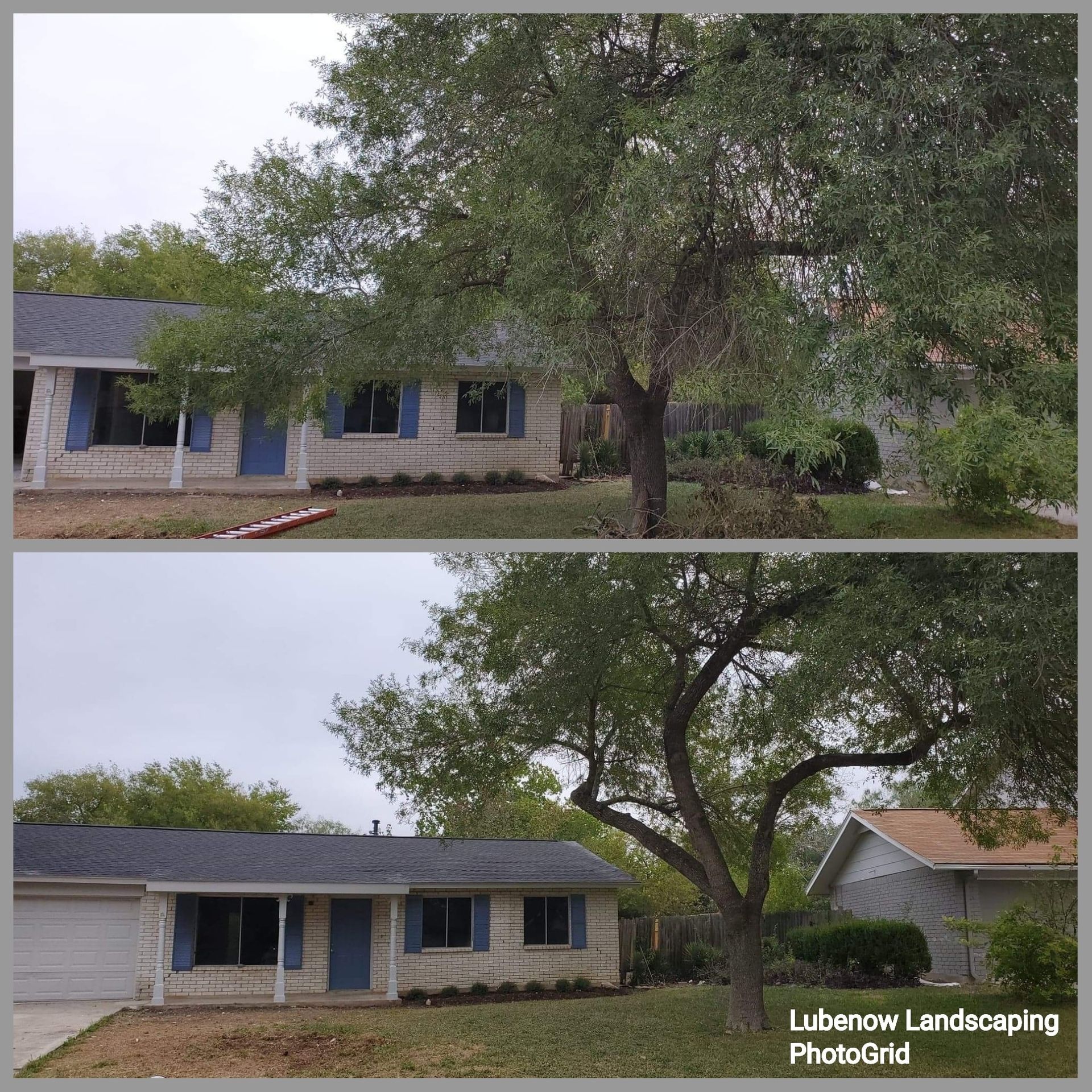 Before-and-after of a house yard with trimmed trees and cleared landscaping, showing improved curb appeal