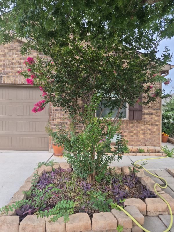 Front yard garden bed with small tree, purple groundcover, and stone border beside a brick house and garage door