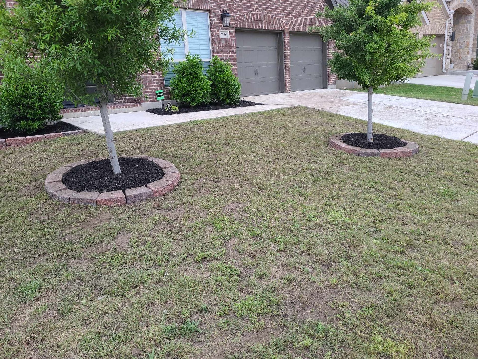Front yard with two small trees in mulched rings, sparse grass, and a house with garage in the background