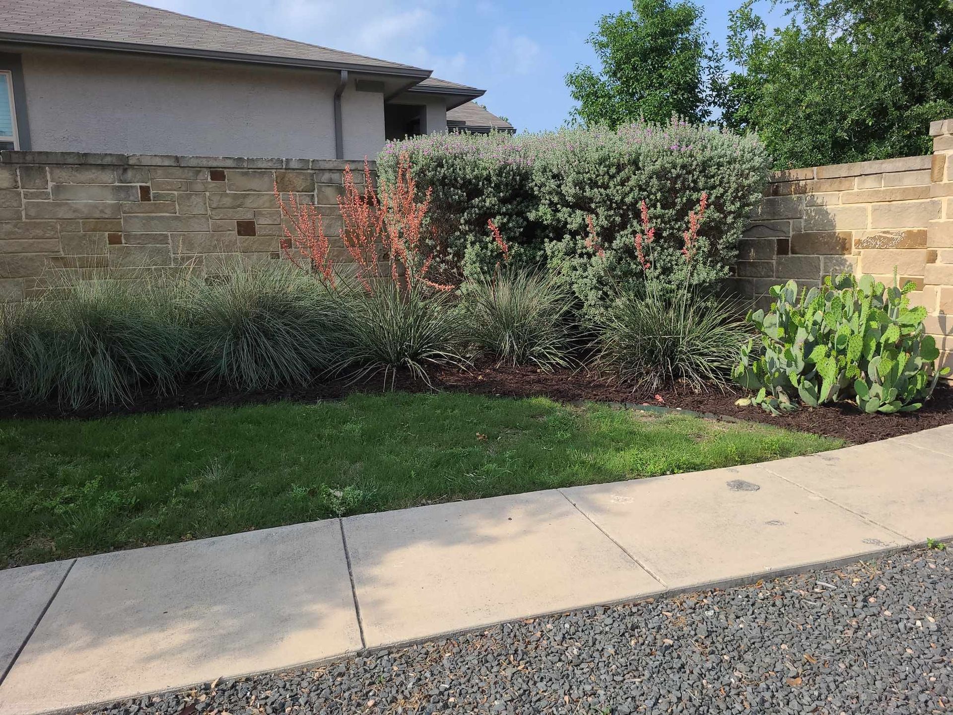 Backyard garden bed with shrubs and flowers beside a lawn and concrete path, bordered by a stone wall
