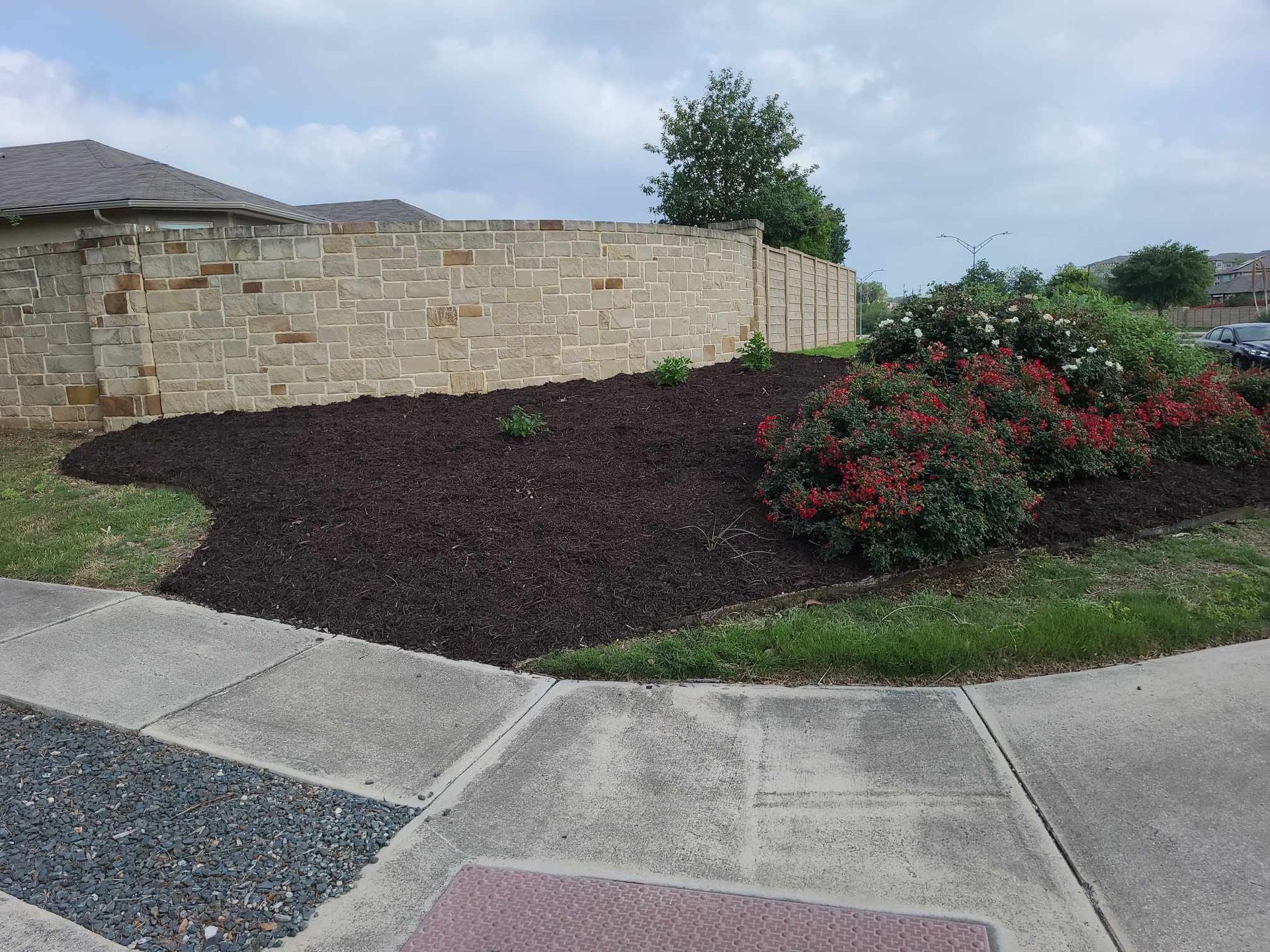 Landscaped front yard with mulch, red flowering shrubs, stone wall, and concrete sidewalk curve