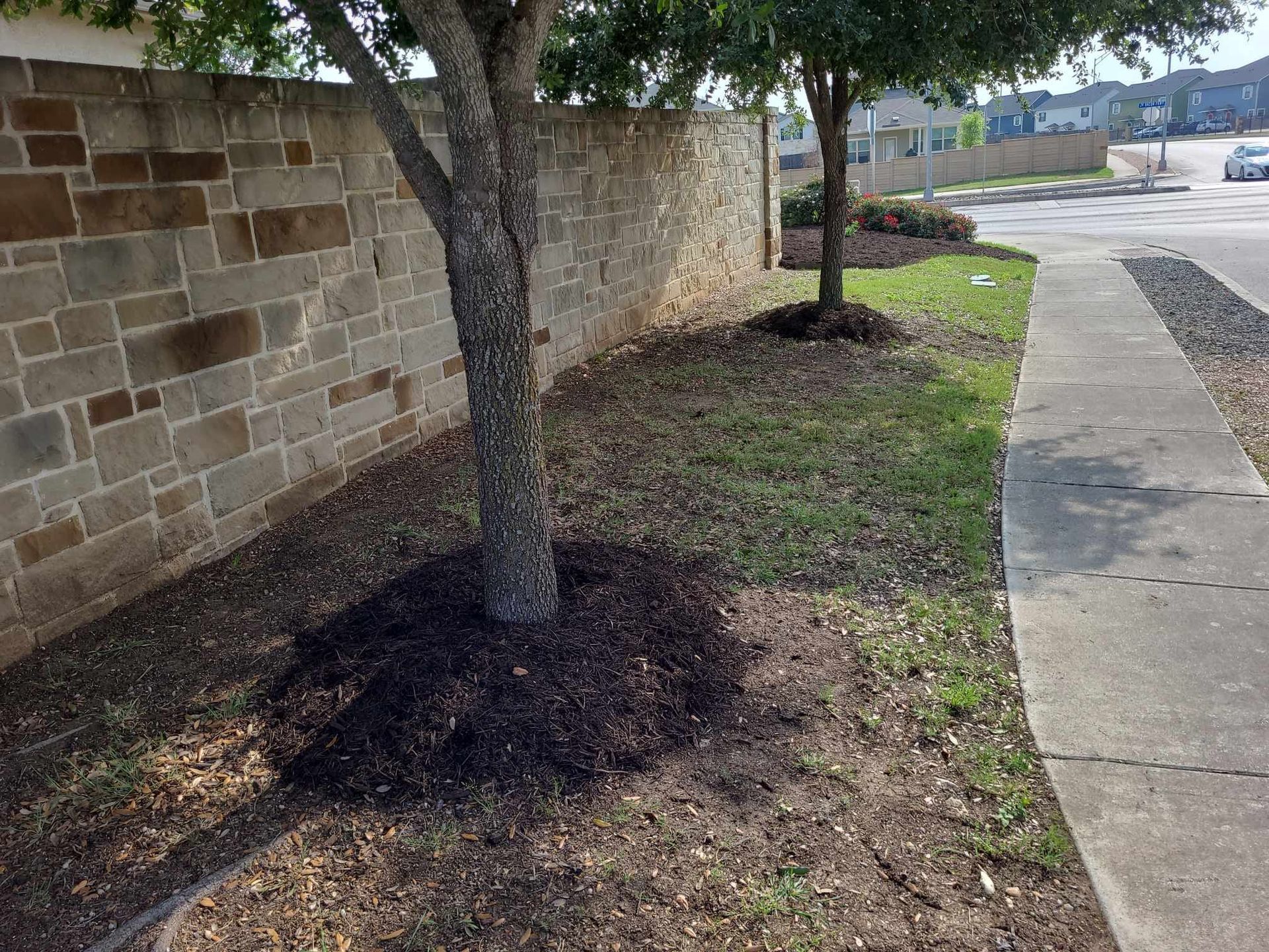 Sidewalk beside a stone wall with trees and sparse grass in a landscaped strip