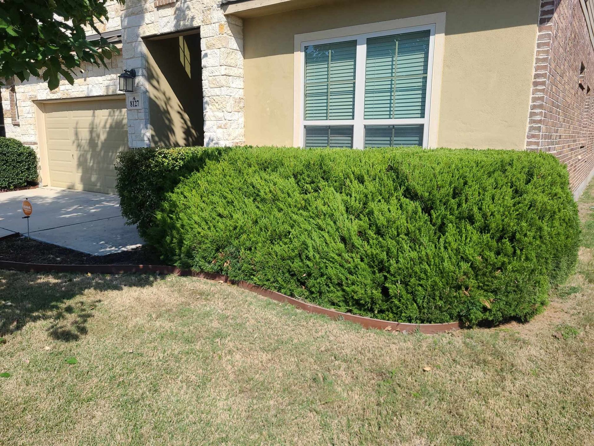 Front yard with a neatly trimmed green hedge in front of a beige house and garage.