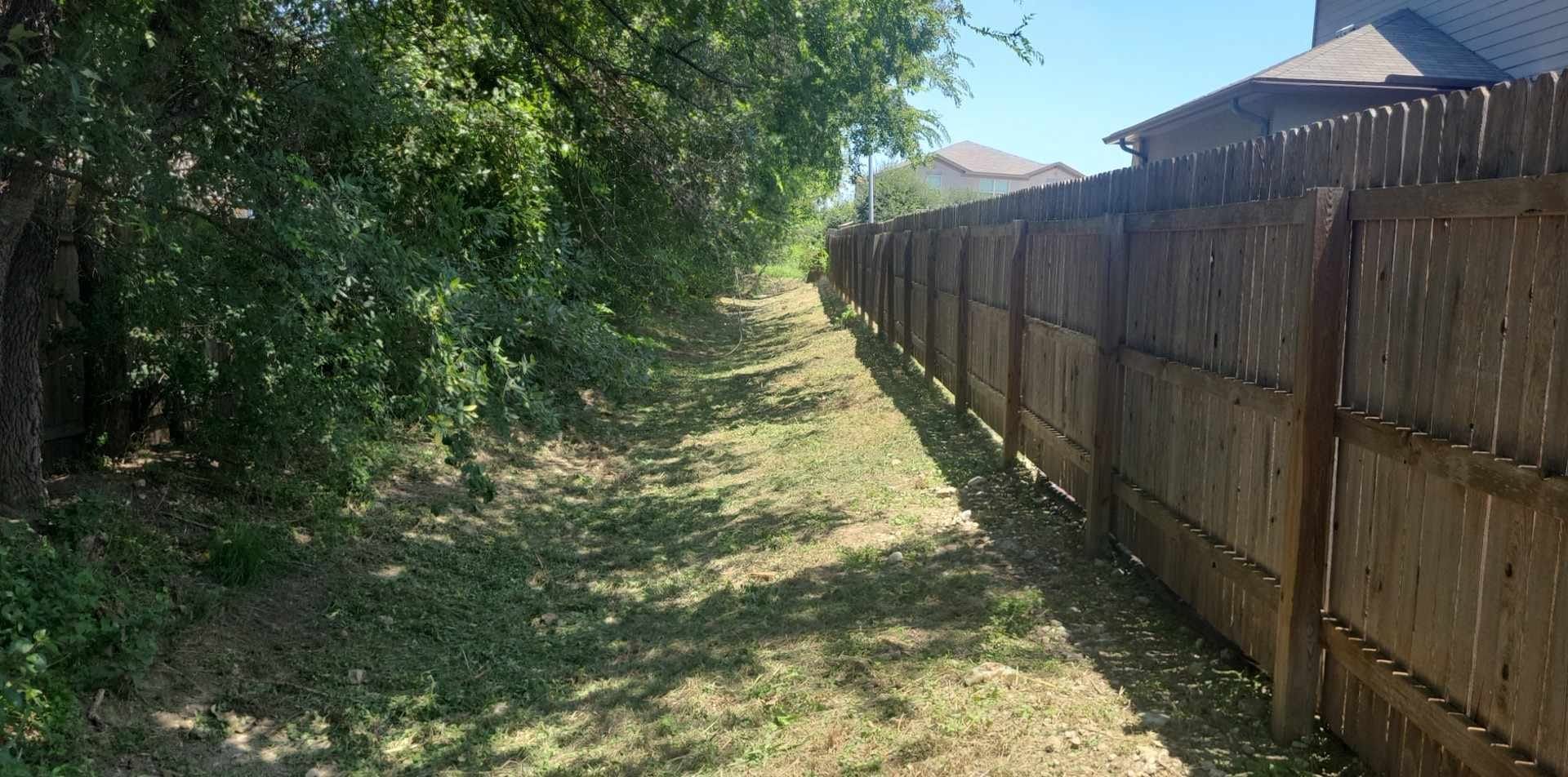 Narrow grassy path beside a wooden fence and trees in bright sunlight