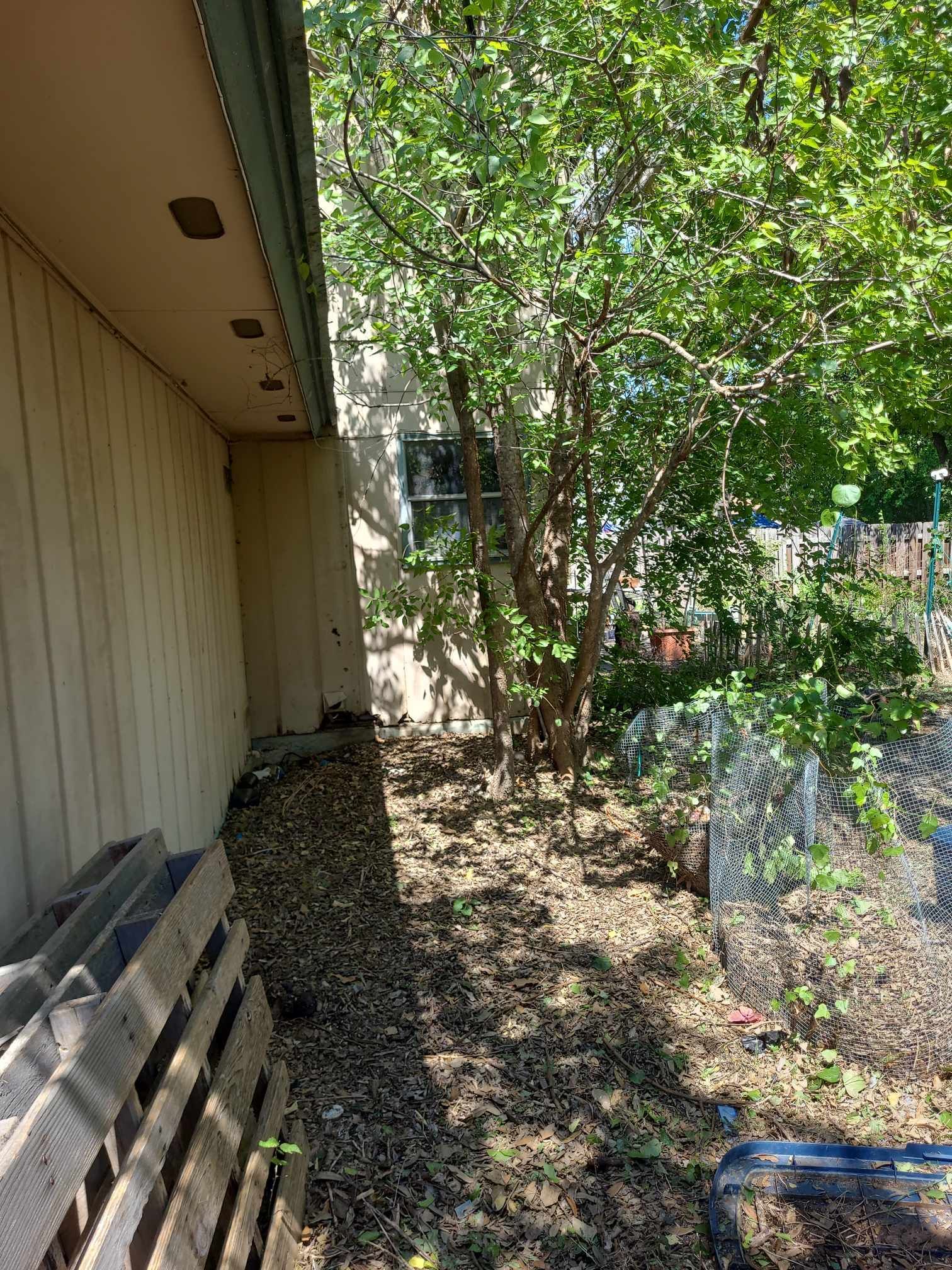 Narrow side yard beside a beige building, with a leafy tree, fence, mulch, and stacked boards.