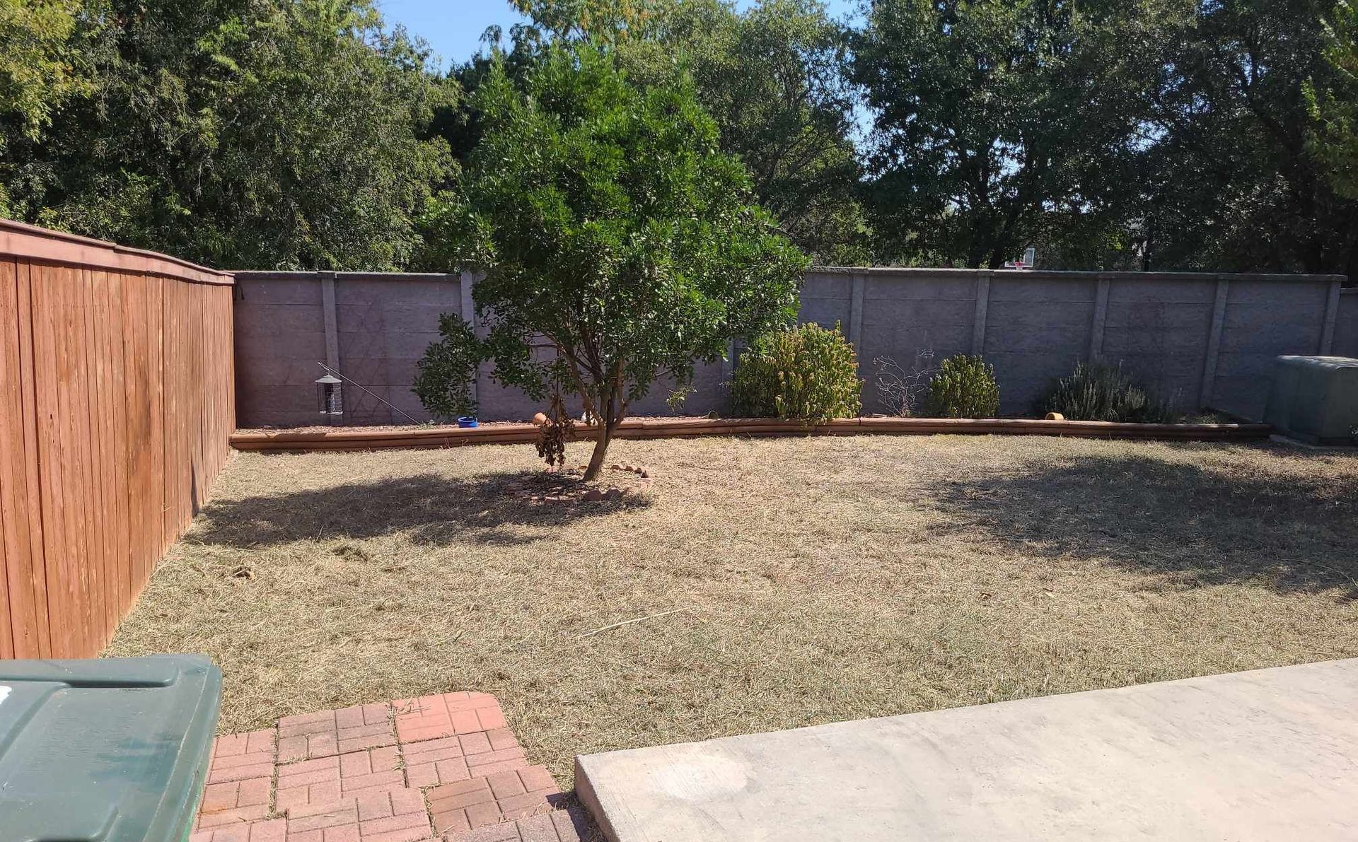Backyard with dry grass, a brick patio, trees, and a wooden fence on the left
