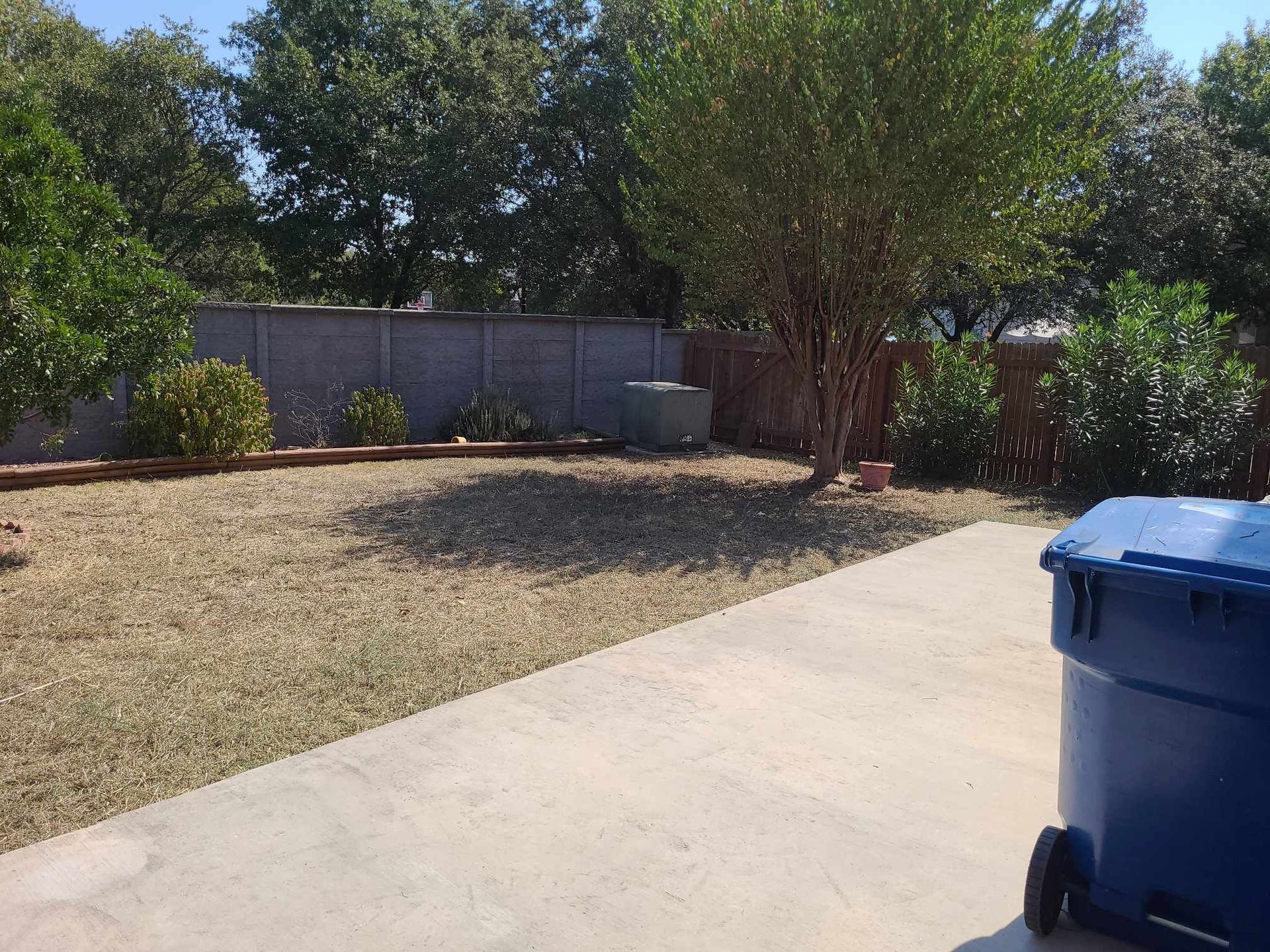 Backyard with dry lawn, concrete patio, trees, and a blue trash bin