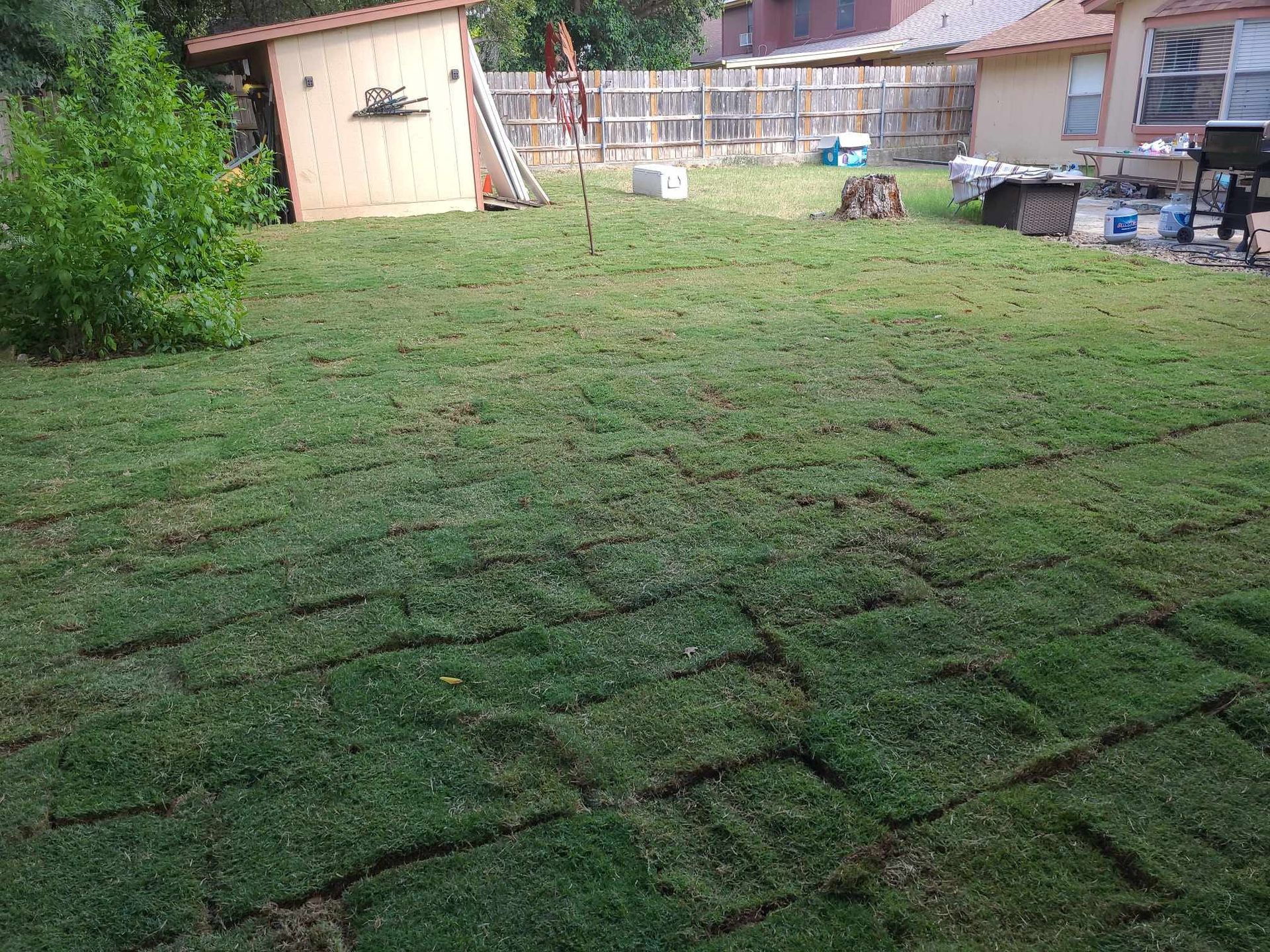 Backyard with patchy grass, sheds, and a house in the background