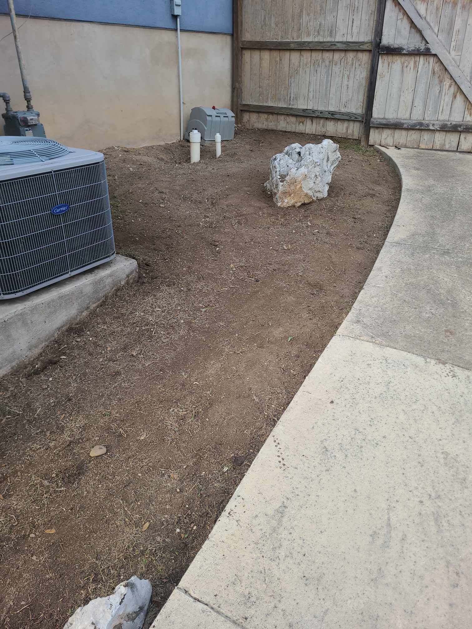 Small fluffy dog sitting on a dirt patch beside a concrete walkway and fence in a yard.