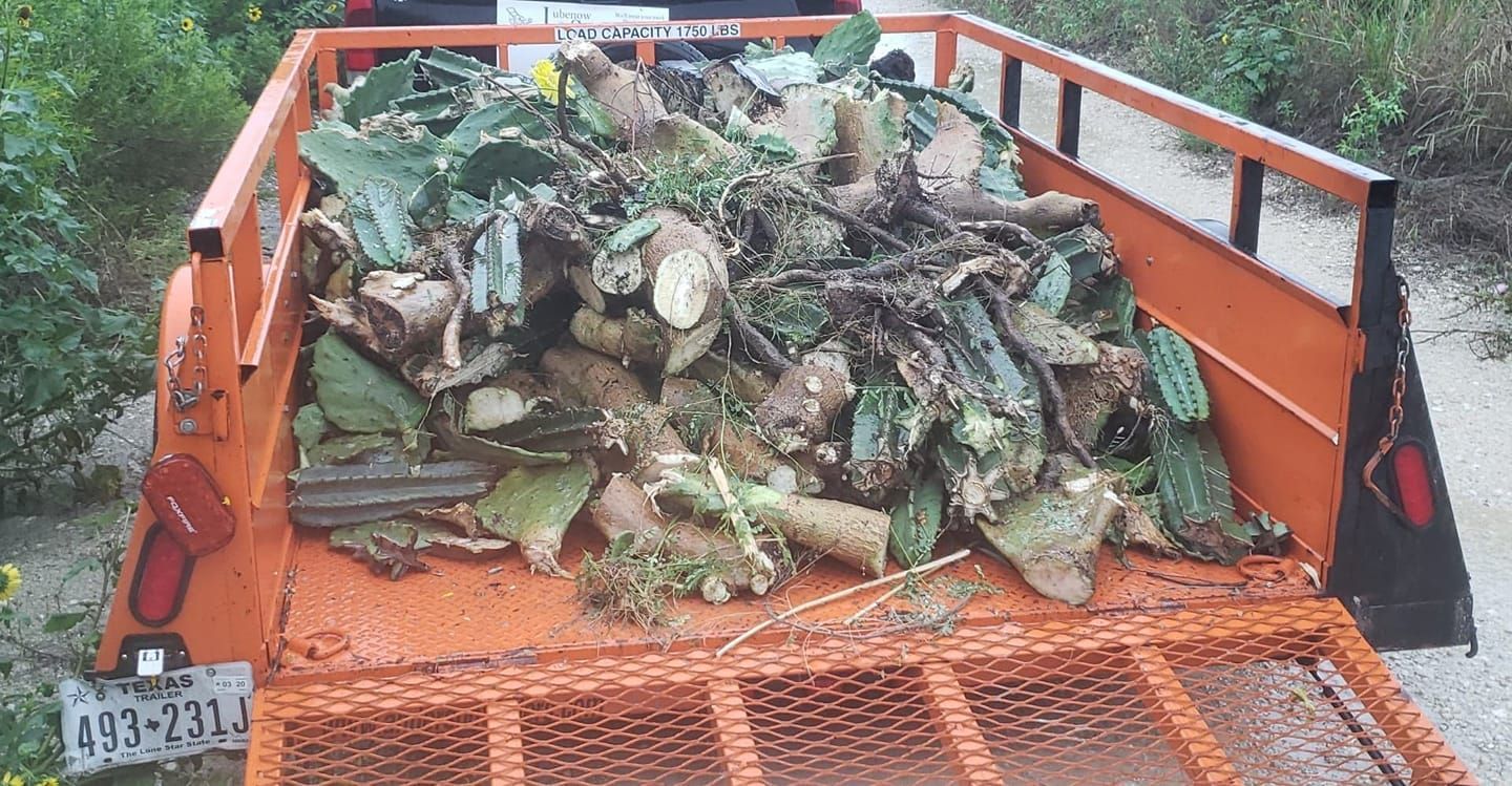 Orange trailer piled with cut green plant debris and branches, viewed from behind.