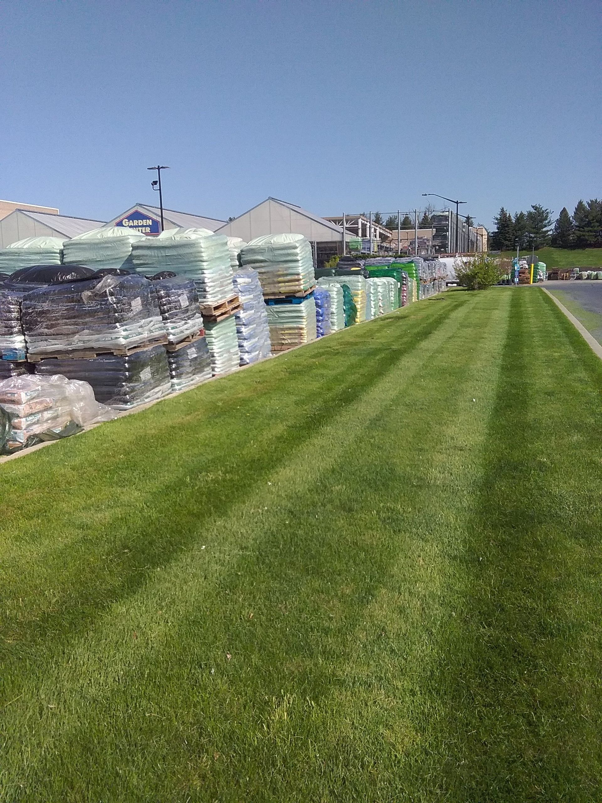 A blue sign in the middle of a lush green field