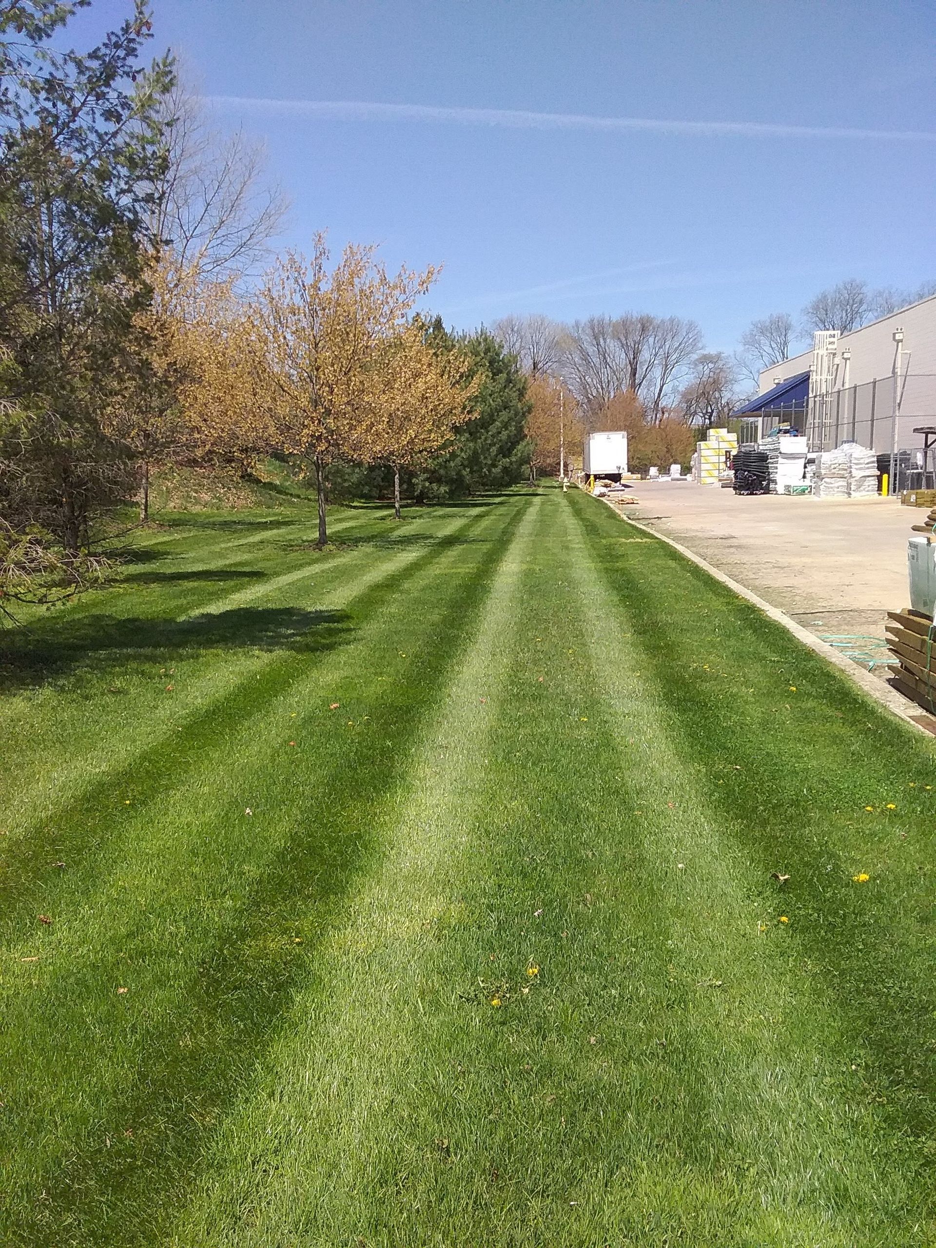 a lush green lawn is being mowed on a sunny day .
