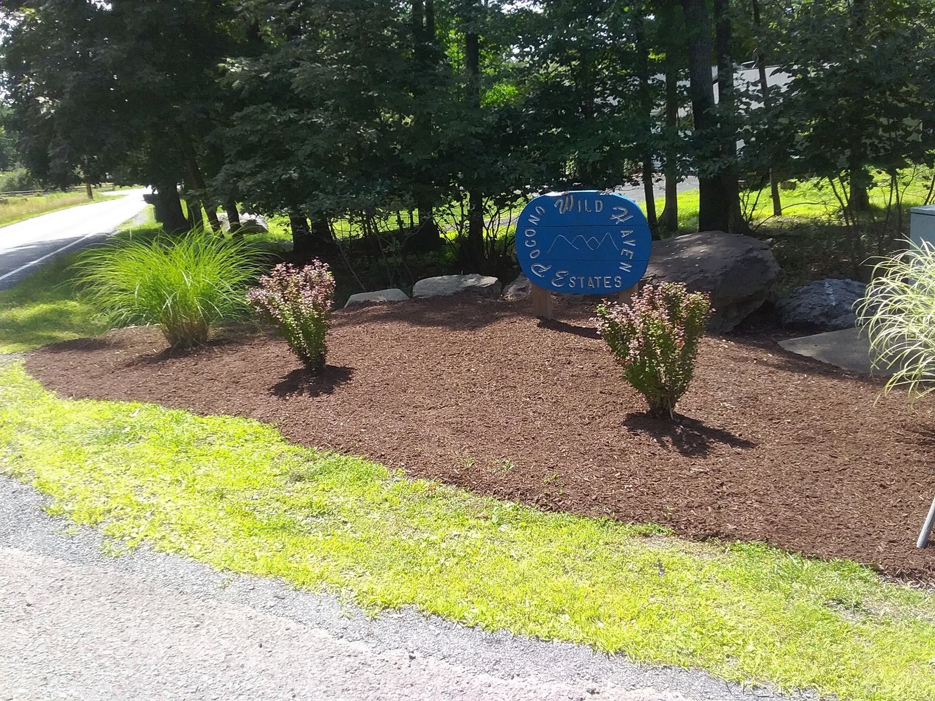 a blue sign in the middle of a lush green field