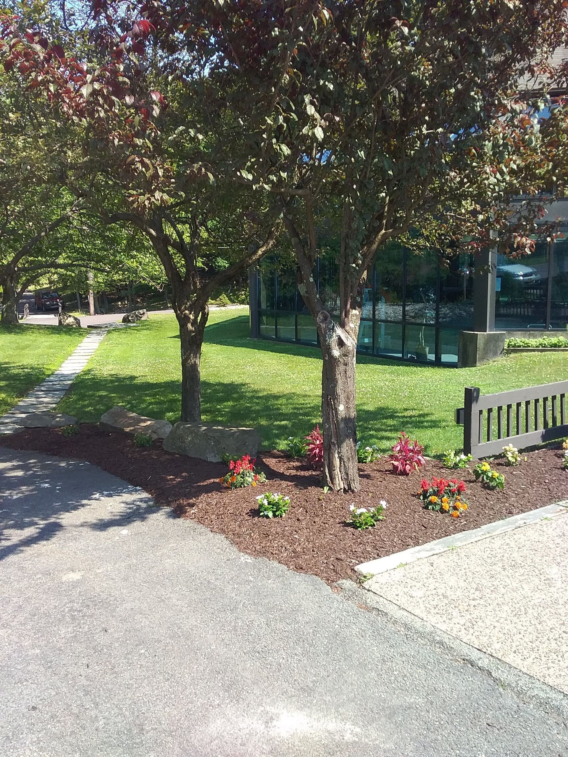 A driveway with trees and flowers in front of a building