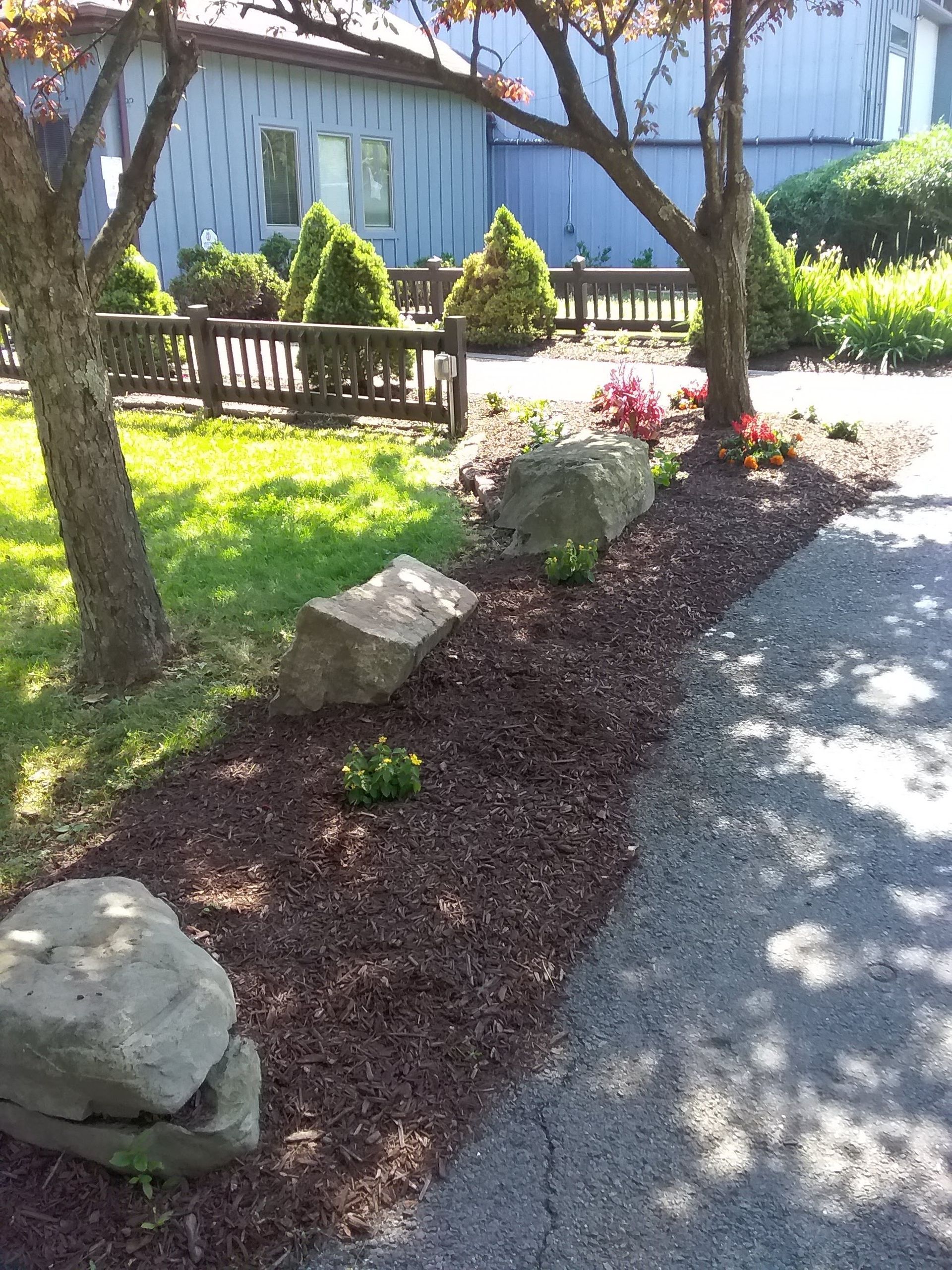 A driveway leading to a house with trees and rocks