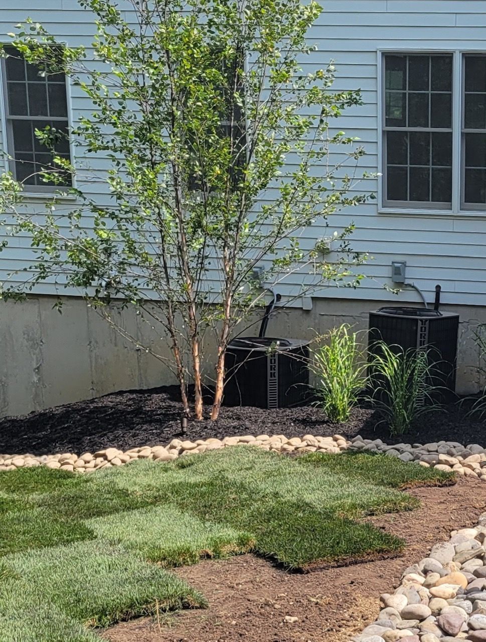 A lawn with a few trees in front of a house.